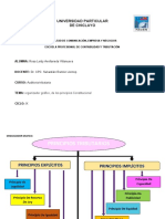 Organizador Grafico