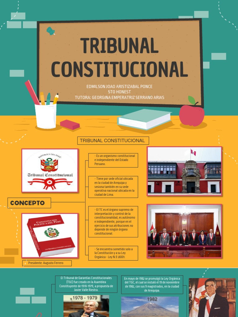 Tribunal Constitucional (Exposición) PDF Gobierno Ley Pública