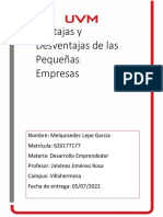 Las Ventajas y Desventajas de Las Pequeñas Empresas - MLG