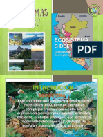 Ecosistemas Del Peru