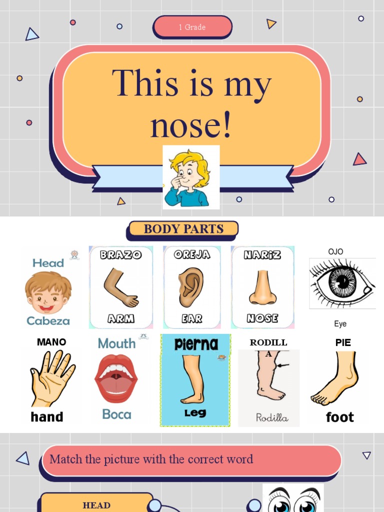 I AM A NOSE intelligence overview