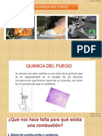 Quimica del Fuego  2022