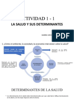 Actividad 1 - 1 Determinantes de La Salud