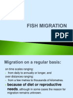 Forage Fish Migration Patterns & Factors
