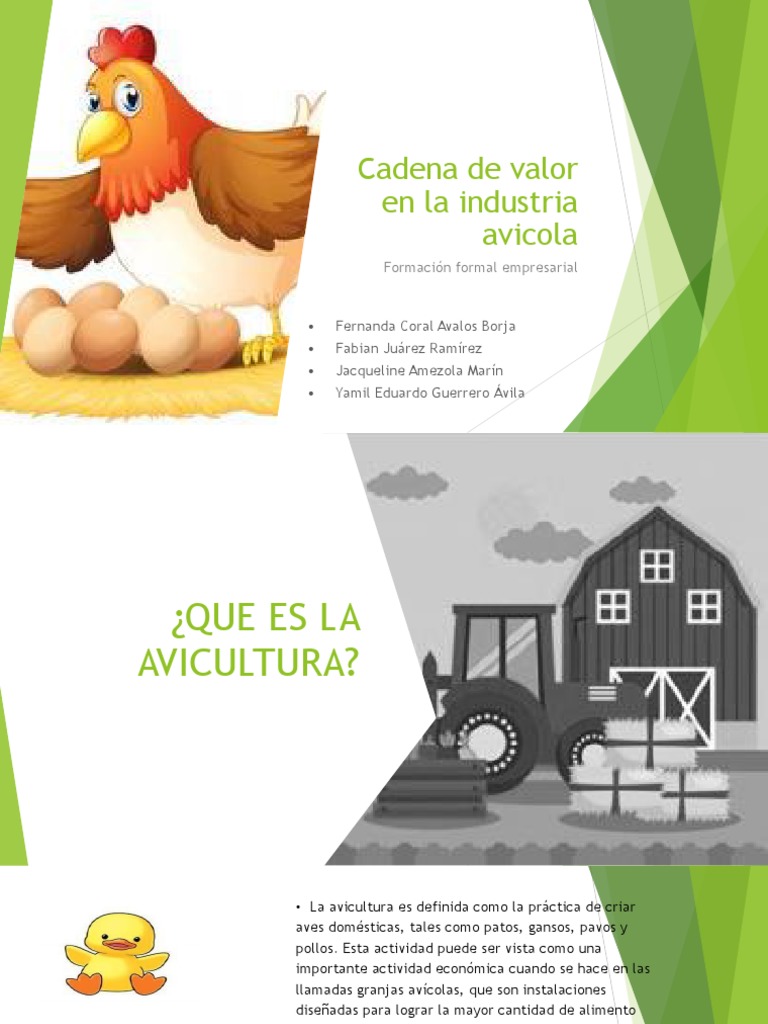 Cadena de Valor en La Industria Avicola | PDF | Pollo | Avicultura