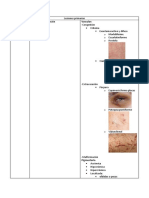 Lesiones Primarias y Secundarias