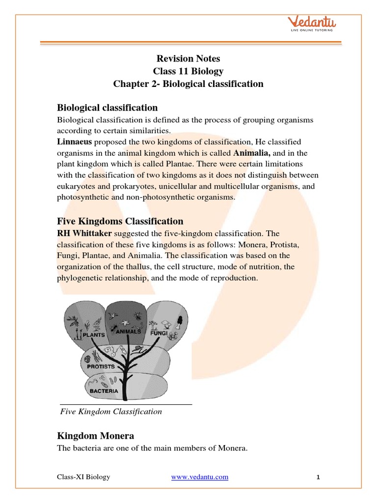 Class 11 Biology Chapter 2 - Revision Notes | PDF | Fungus | Protozoa