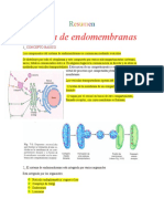 Sistema de Enedomembranas