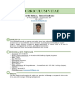 Curriculum Vitae Bruno Rueda..