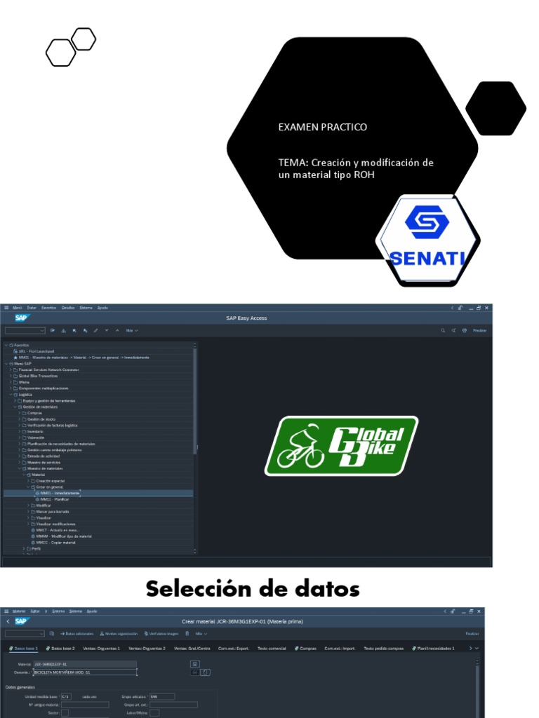 Material Tipo ROH, FERT, PROVEDOOR | PDF | Negocios | Derecho