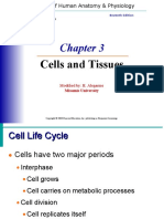 Session 2 - Cells and Tissues