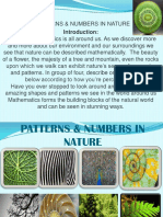 Power Point in Pattern in Nature