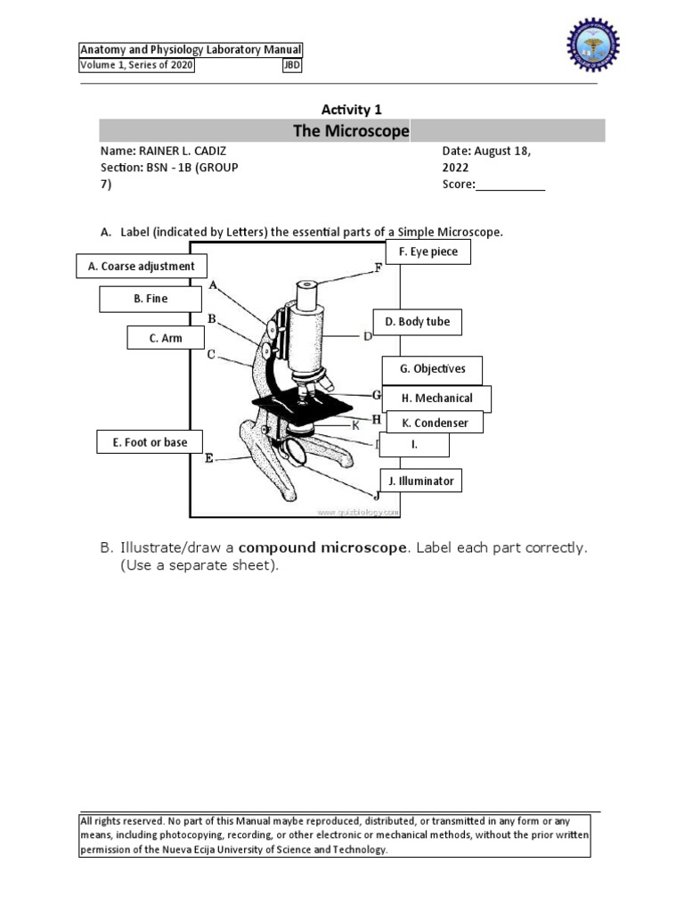 Anatomy & Physiology Microscope Manual | PDF | Glass Engineering And ...