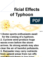 Beneficial Effects of Typhoon