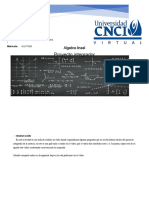 Proyecto Integrador Algebra Lineal