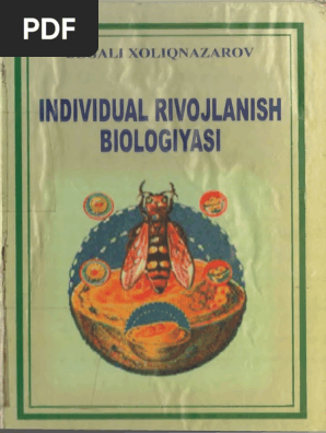 Anal tomosha davomiyligi