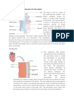 Anatomy and Physiology of Heart
