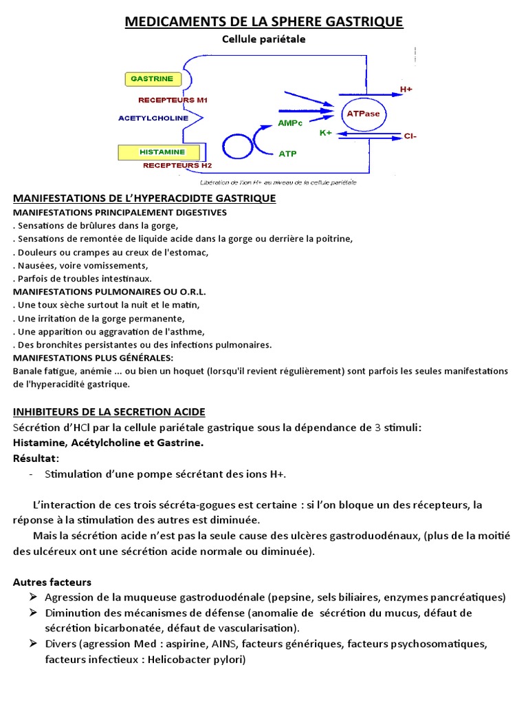 Spascol et Oméprazole : Posologie et Interactions | PDF | Estomac ...