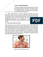 Bab 13-Sistem Pernafasan
