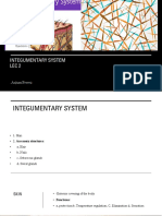 Integumentary sys 2