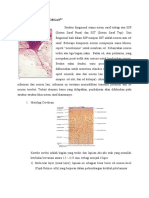 Histologi Otak