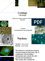 6 Cytology Nucleus 1