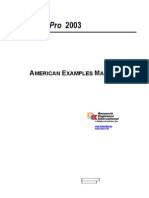 American Examples 2003