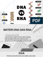 Materi Dna Dan Rna