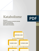 Katabolisme New
