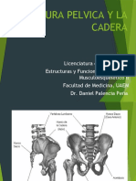 Cintura Pelvica y Articulacion de La Cadera