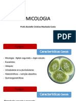 Caracteristicas Gerais