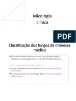 nomenclatura - micologia clínica (3)