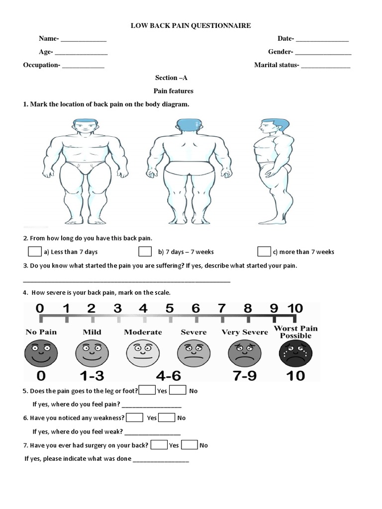 Low Back Pain Assessment Questionnaire | PDF