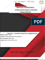 Practica 11. Sistemas Lineales en Administracion - Fátima Velasco