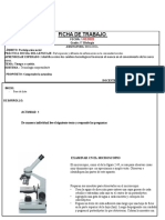 FICHA DE TRABAJO FEBRERO Biologia