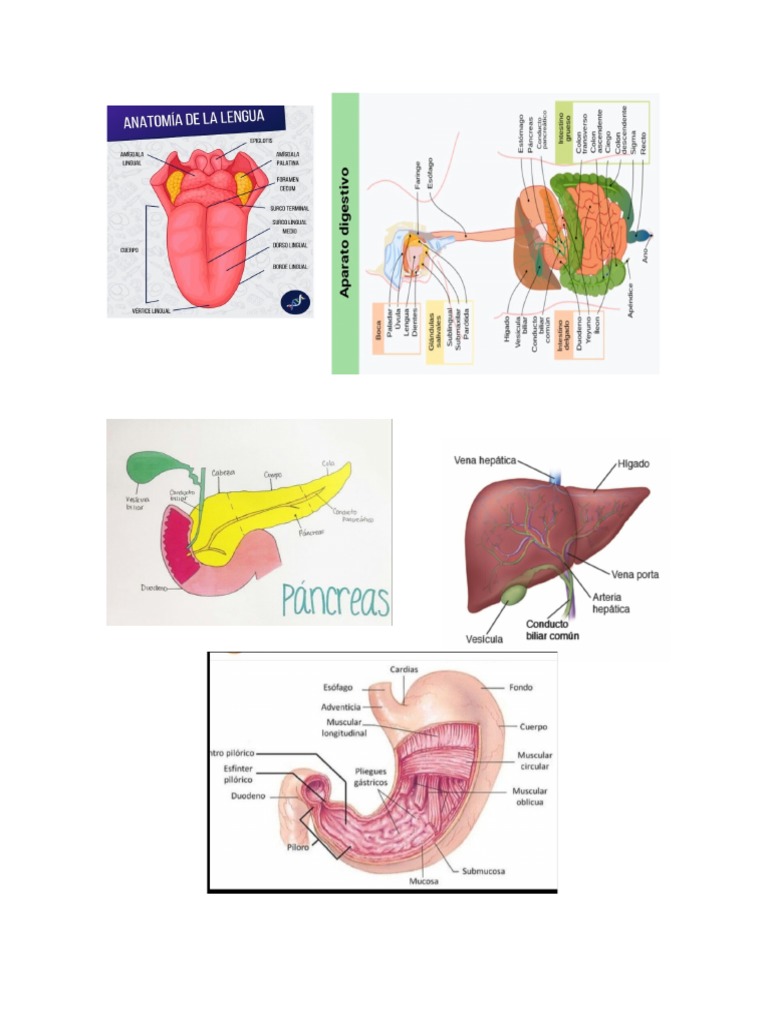 enfermer-i-a-pdf