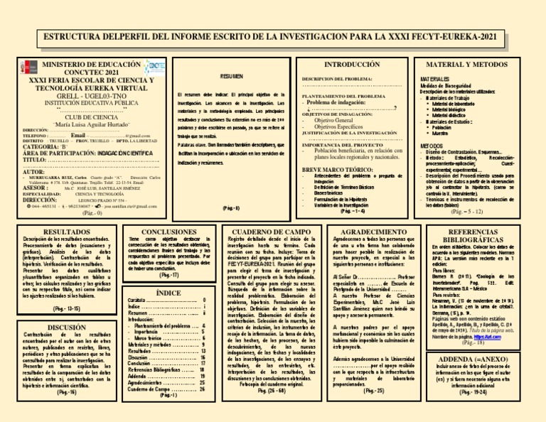 02 - Formato de Informe | PDF | Hipótesis | Investigación cuantitativa