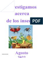 Insectos Proyecto