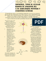 Neurotransmisores 