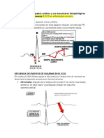 Síndromes de Isquemia Cardiaca y Sus Mecanismos Fisiopatológicos