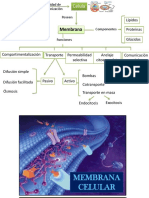 Membra y Transporte