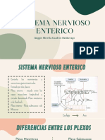 Sistema Nervioso Enterico