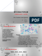 Clase 15 - Micobacterias Espiroquetas