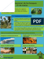 Afiche - Día Internacional de Los Bosques