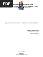 RELATÓRIO  – PROCESSAMENTO DO IOGURTE