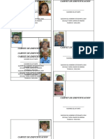 Carnet de Identificacion Gobierno Estudiantil.