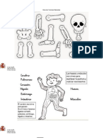 Guía de Ciencias Naturales Esqueleto
