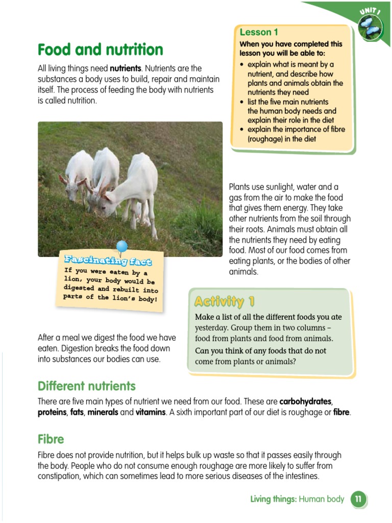 Macmillan Science 5 PB U1 | PDF | Foods | Digestion