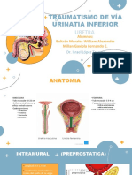 13 Traumatismo de Vía Urinatia Inferior