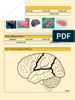 Biology Quarter 1 Unit 2 Day 1 Brain Model Student Document